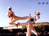 跆拳道培训—嵩山少林